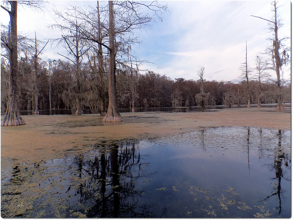 Merritt's Mill Pond near Blue Springs on a winter day.